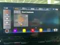 CUPRA Formentor 1.5 TSI Virtual LED Keyless ACC Weiß - thumbnail 17