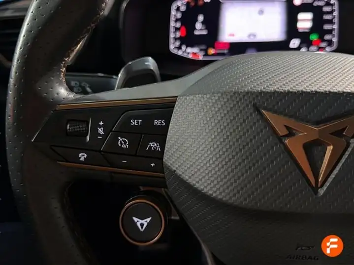 Cupra Formentor 2.0 TSI 4Drive DSG 2022, foto 9