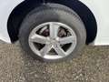 Audi Q5 Q5 Diesel 2.0 TDI quattro  S-Line, AHK Blanco - thumbnail 4