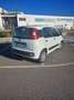 Fiat Panda 1.2 Pop s&s 69cv my19 - thumbnail 5