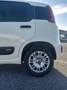 Fiat Panda 1.2 Pop s&s 69cv my19 - thumbnail 7