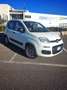 Fiat Panda 1.2 Pop s&s 69cv my19 - thumbnail 1