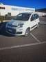 Fiat Panda 1.2 Pop s&s 69cv my19 - thumbnail 2