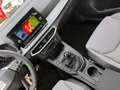 SEAT Ibiza FR 1.0 TSI 95PS Kessy + SEAT Full Link Grau - thumbnail 17