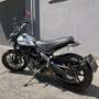 Ducati Scrambler - thumbnail 6