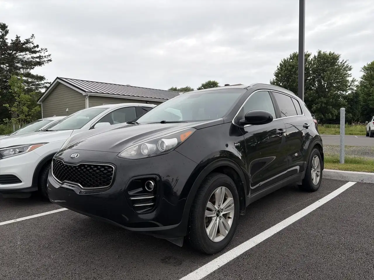 Kia Sportage photo Kia Sportage