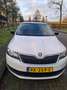 Skoda Rapid/Spaceback Rapid/Spaceback 1.0 TSI Grt Drive Wit - thumbnail 5