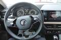 Skoda Kamiq Kamiq 2019 1.0 tsi Style 110cv dsg Grigio - thumbnail 6