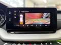 Skoda Octavia Combi 1.4 TSI iV PHEV Business Edition Plus | 18' Blauw - thumbnail 14