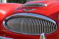 Austin-Healey 3000 MK III Czerwony - thumbnail 3