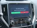 Subaru Forester 2.0ie Active SHZ KAMERA AHK ACC LED Vert - thumbnail 14
