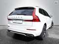 Volvo XC60 T8 Twin Engine AWD R-Design B&W LED PANO Panorama Weiß - thumbnail 3