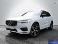 Volvo XC60 T8 Twin Engine AWD R-Design B&W LED PANO Panorama Weiß - thumbnail 1