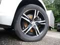 Volvo XC60 T8 Twin Engine AWD R-Design B&W LED PANO Panorama Weiß - thumbnail 5