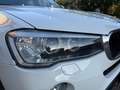 BMW X3 Xdrive20d Business auto Bianco - thumbnail 10