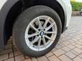 BMW X3 Xdrive20d Business auto Bianco - thumbnail 9