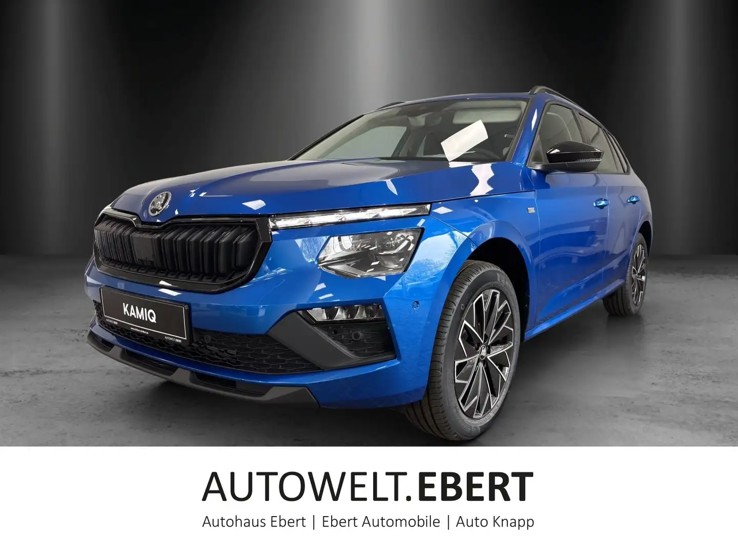 Skoda Kamiq Tour 1,0 TSI 85 kW DSG RFK/LED/el. Heckkl. Blau - 1