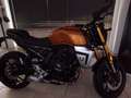 Suzuki GSX-8T GSX800TRQM6 Gold - thumbnail 5