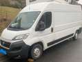 Fiat Ducato Ducato L1H1 Autm. Weiß - thumbnail 3