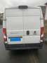 Fiat Ducato Ducato L1H1 Autm. Weiß - thumbnail 2