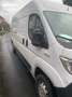 Fiat Ducato Ducato L1H1 Autm. Weiß - thumbnail 4