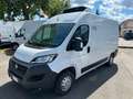 Fiat Ducato mh2 2.3 mjt 130cv furgone GRUPPO FRIGO strada+rete Blanc - thumbnail 1