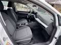 Volkswagen Golf Rabbit 1,0 TSI Blanco - thumbnail 10