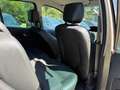 Renault Modus Braun - thumbnail 10