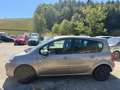 Renault Modus Braun - thumbnail 4