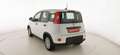 Fiat Panda 1.0 FireFly S&S Hybrid Weiß - thumbnail 5
