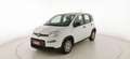 Fiat Panda 1.0 FireFly S&S Hybrid Weiß - thumbnail 3