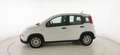 Fiat Panda 1.0 FireFly S&S Hybrid Weiß - thumbnail 4