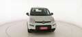 Fiat Panda 1.0 FireFly S&S Hybrid Weiß - thumbnail 2
