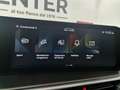 Kia Sorento 2.2 CRDi DCT8 4WD Evolution - PROMO FINANZIAMENTO Gri - thumbnail 22