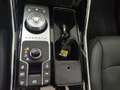 Kia Sorento 2.2 CRDi DCT8 4WD Evolution - PROMO FINANZIAMENTO Gri - thumbnail 30