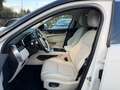 Jaguar F-Pace F-Pace 2.0d i4 mhev R-Dynamic HSE awd 204cv auto Bianco - thumbnail 5