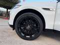 Jaguar F-Pace F-Pace 2.0d i4 mhev R-Dynamic HSE awd 204cv auto Bianco - thumbnail 13