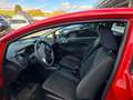 Ford Fiesta 1.0 Trend KLIMA ALU BLUETOOTH Rot - thumbnail 5