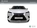 Lexus NX 300 300h Business Navigation 2WD Blanc - thumbnail 5