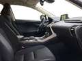 Lexus NX 300 300h Business Navigation 2WD Blanc - thumbnail 6