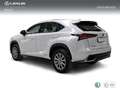 Lexus NX 300 300h Business Navigation 2WD Blanc - thumbnail 2
