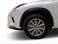 Lexus NX 300 300h Business Navigation 2WD Blanc - thumbnail 10