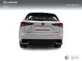 Lexus NX 300 300h Business Navigation 2WD Blanc - thumbnail 4