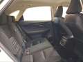 Lexus NX 300 300h Business Navigation 2WD Blanc - thumbnail 7