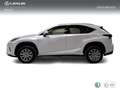Lexus NX 300 300h Business Navigation 2WD Blanc - thumbnail 3