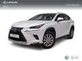 Lexus NX 300 300h Business Navigation 2WD Blanc - thumbnail 1