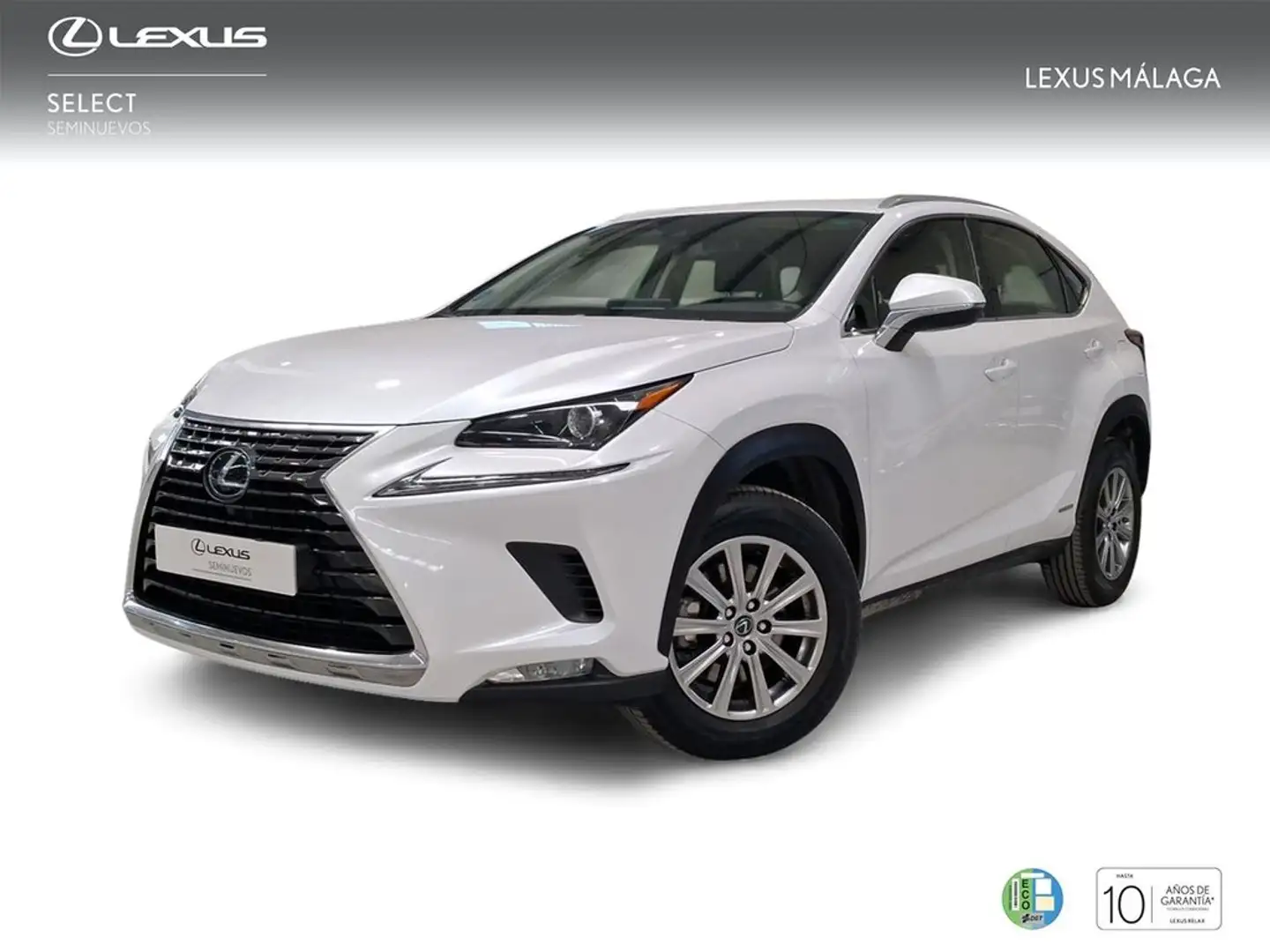 Lexus NX 300 300h Business Navigation 2WD Blanc - 1