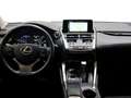 Lexus NX 300 300h Business Navigation 2WD Blanc - thumbnail 8