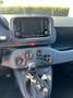 Fiat Panda Mild Hybrid 1.0 5-Sitzer Rot - thumbnail 7