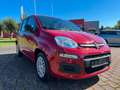 Fiat Panda Mild Hybrid 1.0 5-Sitzer Rot - thumbnail 2
